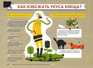 За неделю в Заречном зарегистрировано четыре случая укуса клеща