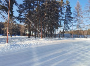 Госавтоинспекция Заречного выявила опасную горку