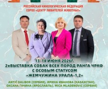Дальние, но классные планы: летом в Заречном снова пройдёт большая выставка собак!