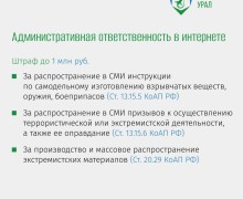 Ответственность за публикации в соцсетях и интернете