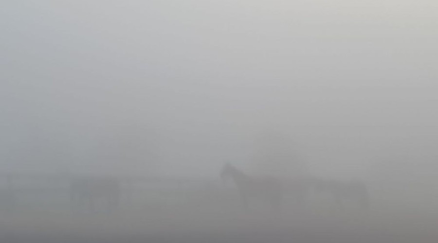 В понедельник Заречный и близлежащие деревни сёла накрыл туман