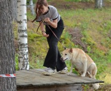 В субботу, 16 августа, под Асбестом прошла Гонка героев, в которой участвовали команды человек и собака