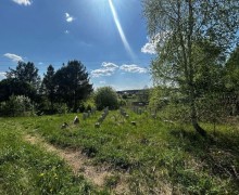 Продается земельный участок 10 соток в д.Гагарка