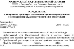 Банкротство за 9 месяцев: юристы Заречного списали долг Ларисы на 1,1 млн рублей
