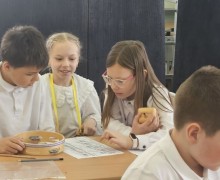 Две команды воспитанников детской музыкальной школы приняли участие в конкурсе по сольфеджио