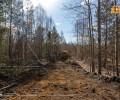 Арендаторы лесных участков Свердловской области готовы к пожароопасному сезону