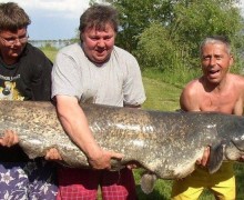 В Свердловской области вводятся ограничения на рыбалку в период нереста