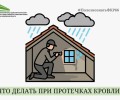 Жители Заречного столкнулись с протечками крыш из-за дождей в период капремонта