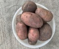 Продам картошку с собственного участка