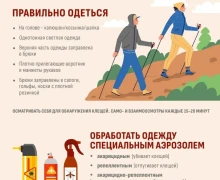 Жителям и гостям Свердловской области необходимо усилить меры защиты от клещей