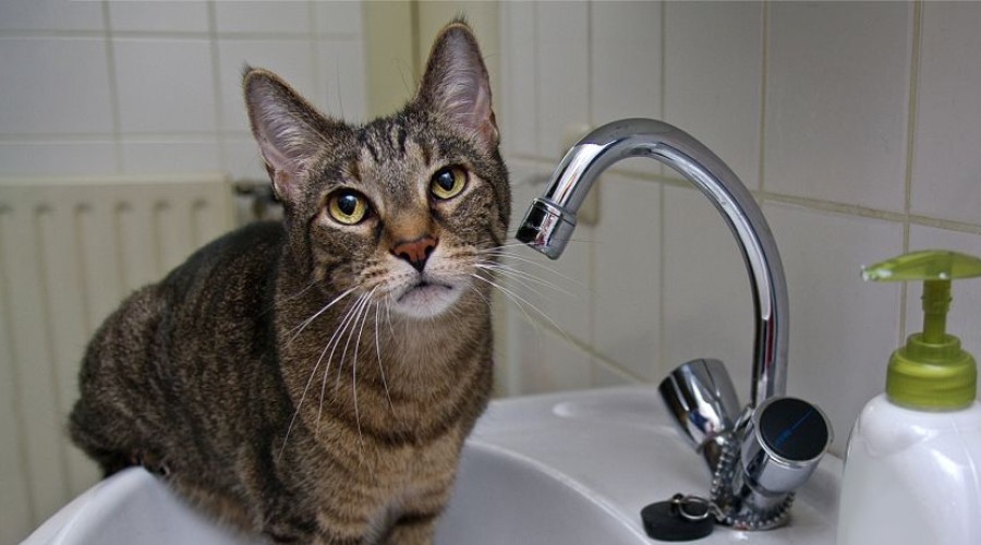 21.05.2024 - будет отключена горячая вода