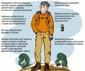 Клещи активизировались!
