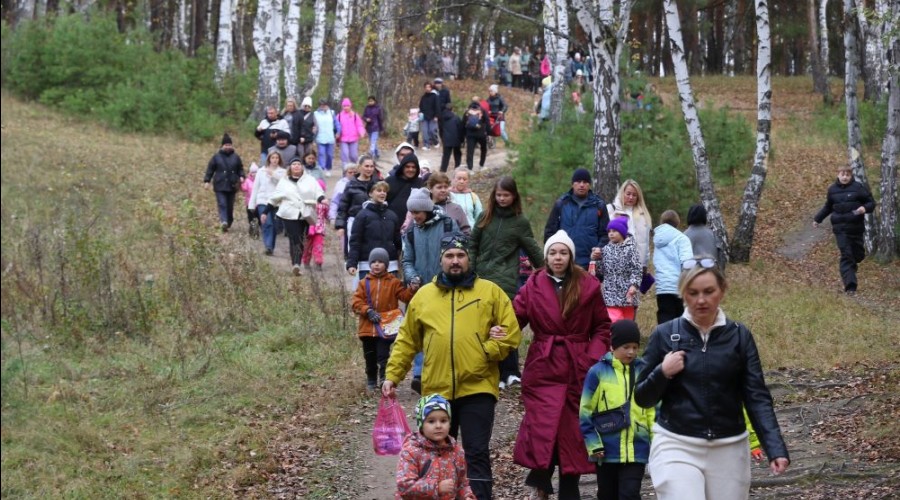 Отличный день для прогулки!