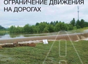 Актуальная дорожная обстановка в Свердловской области: данные Госавтоинспекции