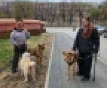 Соседи и собаки: история одного подъезда в Заречном