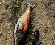 На жителя Екатеринбурга завели уголовное дело за незаконную рыбалку на Белоярском водохранилище