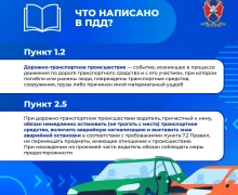 Что должен знать автомобилист, попавший в ДТП