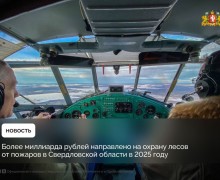 Более миллиарда рублей направлено на охрану лесов от пожаров в Свердловской области в 2025 году