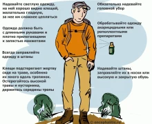 Клещи активизировались!