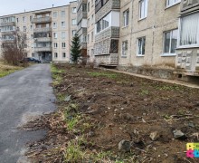 Высаживать новые деревья после ремонта теплосетей не будут