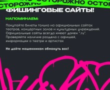 Пушкинская карта: как избежать мошенничества?
