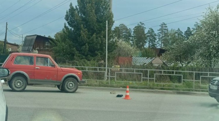 На въезде в Заречный большая пробка