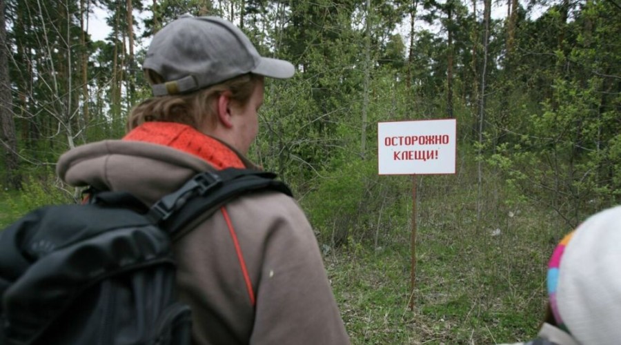 Куда обращаться при укусе клеща в Заречном