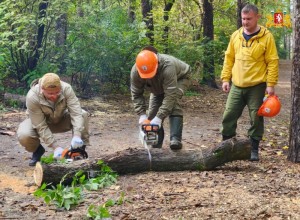 Шарташский лесной парк стал центральной площадкой всероссийского субботника «Зеленая Россия» в нашем регионе