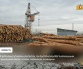 Сотрудники Минприроды Свердловской области усилили контроль за лесоперерабатывающими предприятиями в связи со стартом пожароопасного сезона