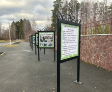 Краеведческий музей открыл выставку о себе - накануне своего юбилея