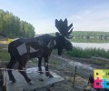 Наслаждаемся тёплыми летними вечерами и гуляем по строящейся экотпропе