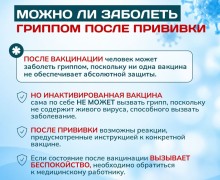 В Заречном советуют заранее подготовиться к сезону гриппа