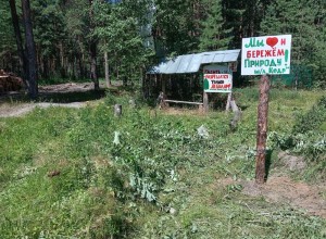 Воспитанники школьного лесничества Кедр помогли провести уборку на правом берегу водохранилища