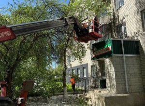 Чтобы город был красивы, за ним надо ухаживать