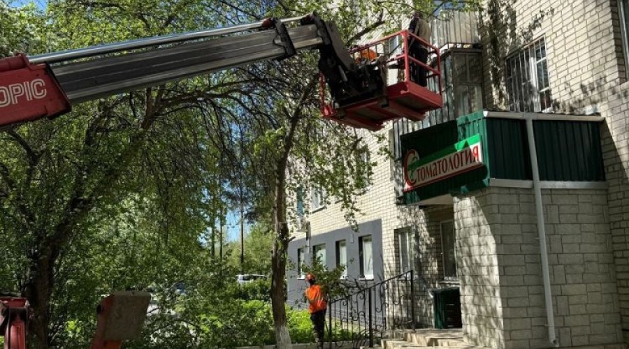 Чтобы город был красивы, за ним надо ухаживать