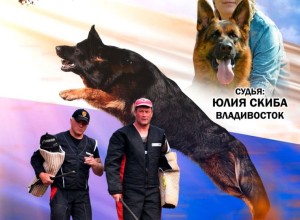21 и 22 июня в Заречном пройдёт большая выставка собак (даже несколько)