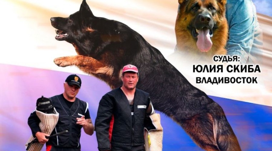 21 и 22 июня в Заречном пройдёт большая выставка собак (даже несколько)