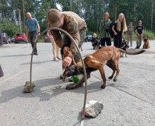 В Заречном прошёл четвёртый «Собачий переполох»