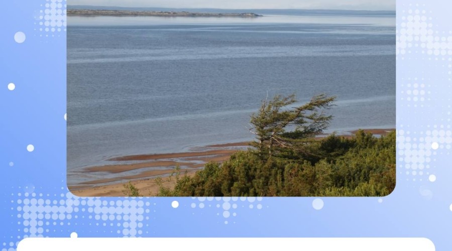 Арктический международный кинофестиваль «Золотой ворон» впервые состоится в Свердловской области с 22 января по 25 февраля