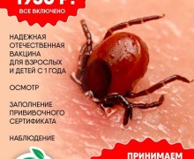 Вакцинация против клещевого энцефалита: график и условия в Заречном