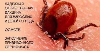 Вакцинация против клещевого энцефалита: график и условия в Заречном