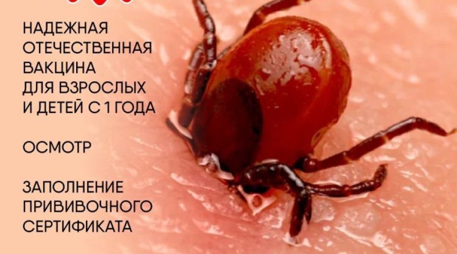 Вакцинация против клещевого энцефалита: график и условия в Заречном