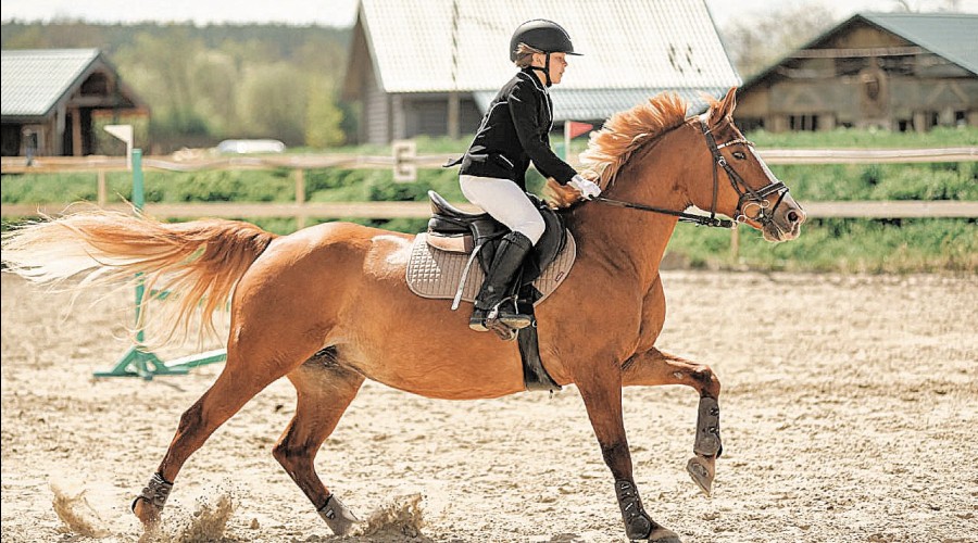 Огненная Эрика