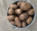 Продам картошку с собственного участка