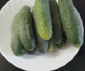 Продам домашние огурцы