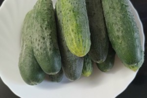Продам домашние огурцы