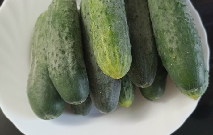 Продам домашние огурцы
