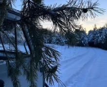 В ХРАМ ПОКРОВА ПРИВЕЗЛИ ЕЛКИ