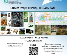 СНОВА РЕШАЕМ, ЧТО БЛАГОУСТРОИТЬ В ЗАРЕЧНОМ!