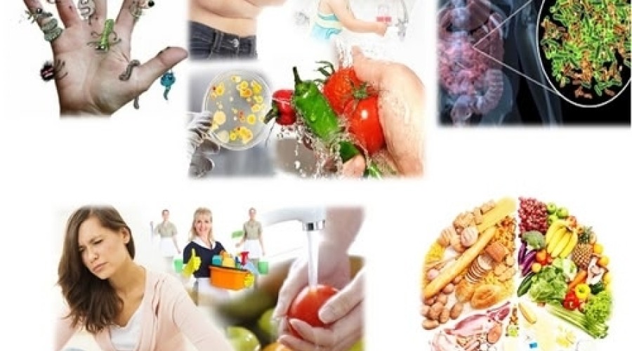 В Заречном зафиксированы случаи норовирусной инфекции в детских учреждениях